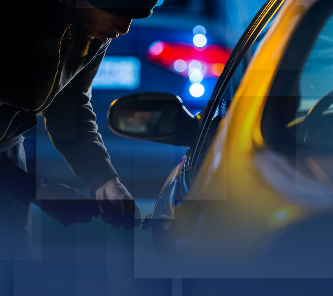 Theft Crimes